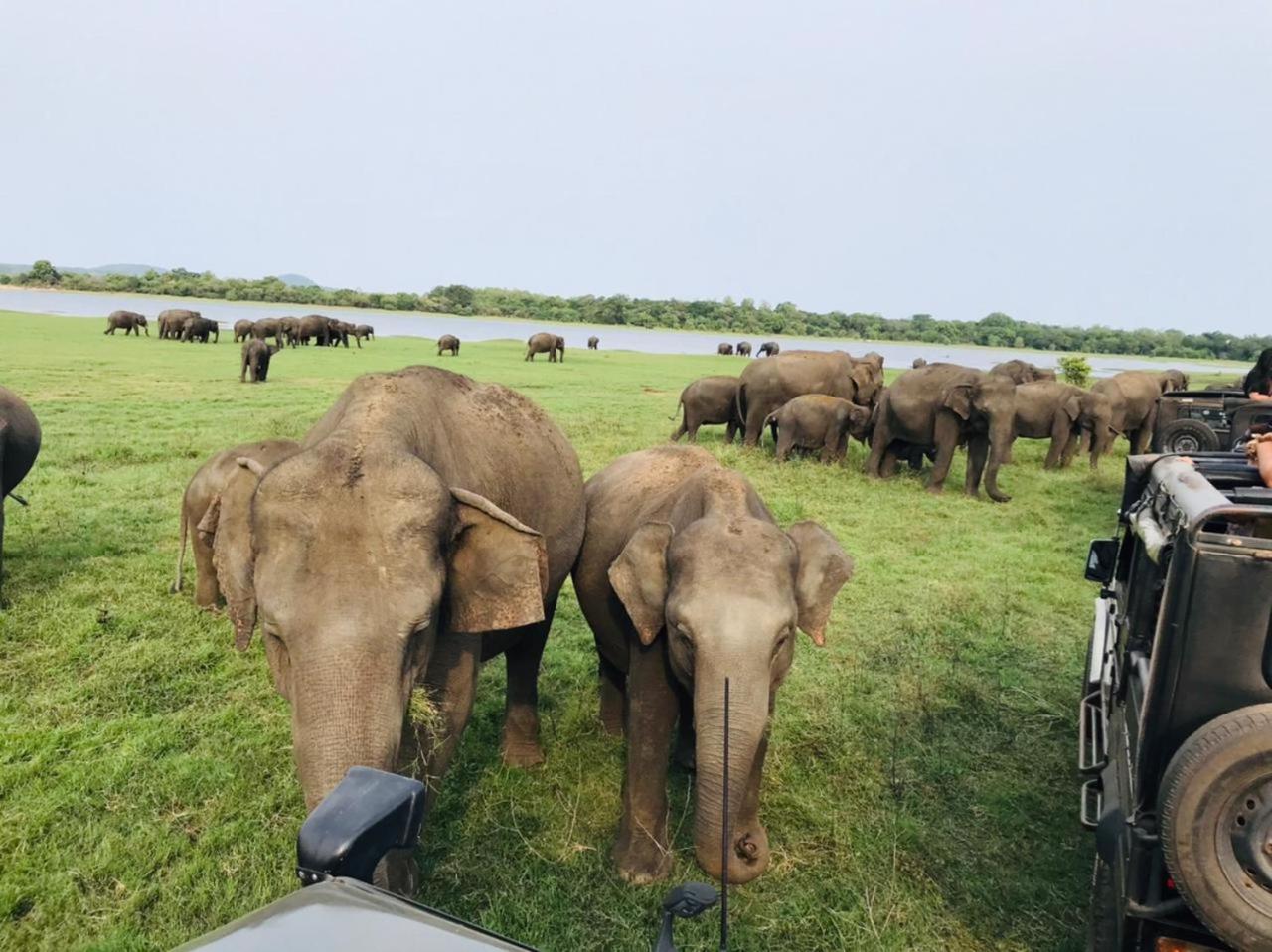 Sigiriya Rastha Hostel Zewnętrze zdjęcie